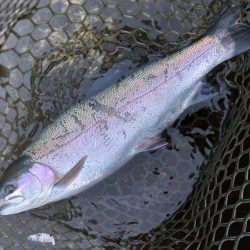 水面が熱い！ ～平谷湖フィッシングスポット～